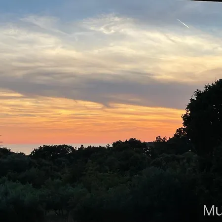 Vala * Rovinj
